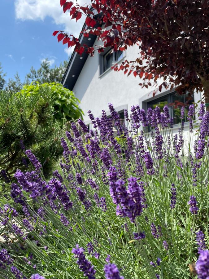 Hortus Apartament Z Klimatyzacja بوليسلافيتش المظهر الخارجي الصورة