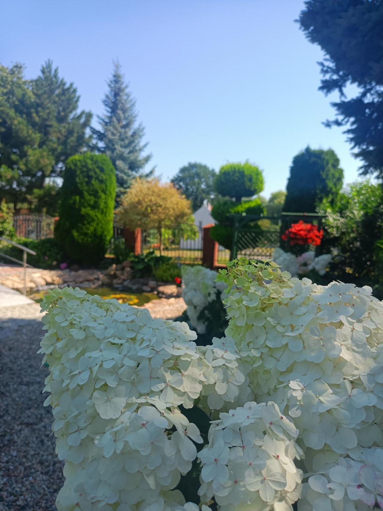 Hortus Apartament Z Klimatyzacja بوليسلافيتش المظهر الخارجي الصورة