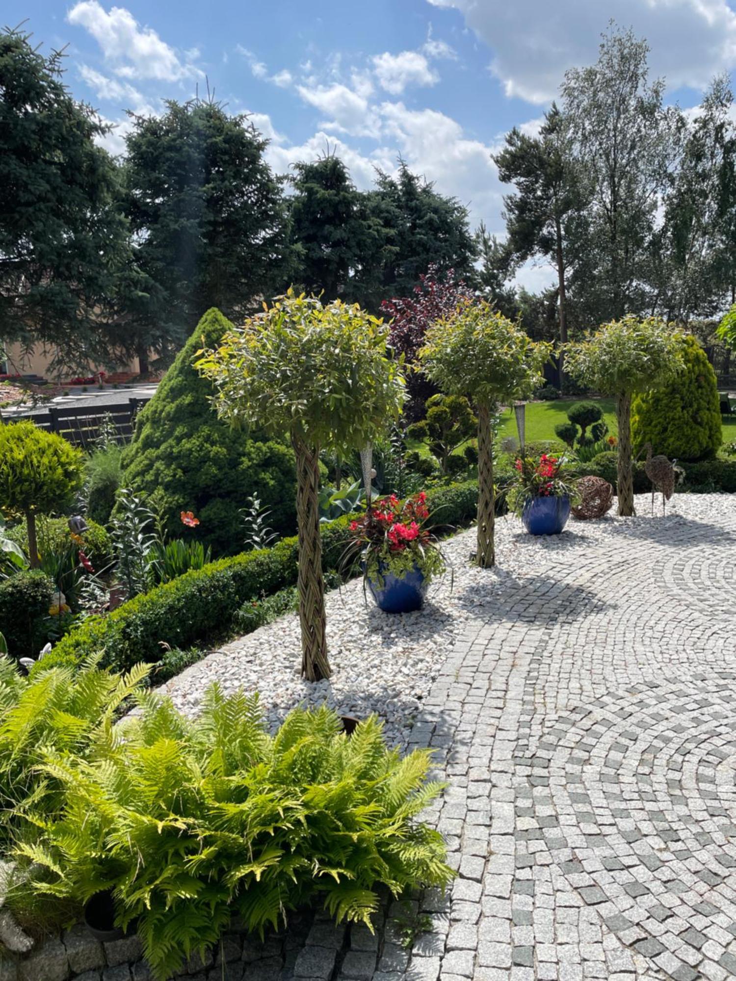 Hortus Apartament Z Klimatyzacja بوليسلافيتش المظهر الخارجي الصورة