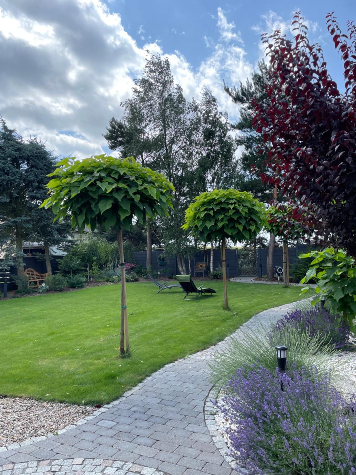 Hortus Apartament Z Klimatyzacja بوليسلافيتش المظهر الخارجي الصورة