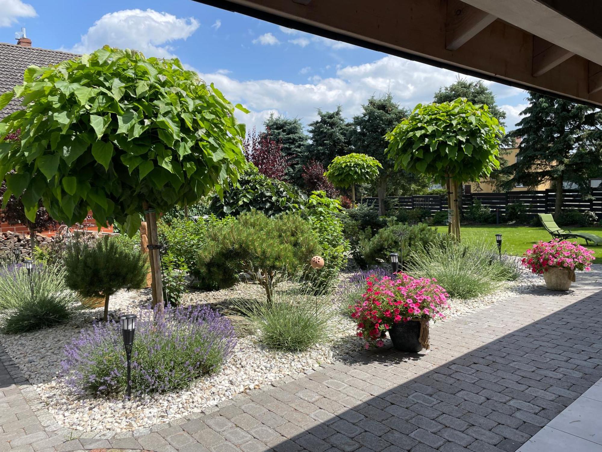 Hortus Apartament Z Klimatyzacja بوليسلافيتش المظهر الخارجي الصورة