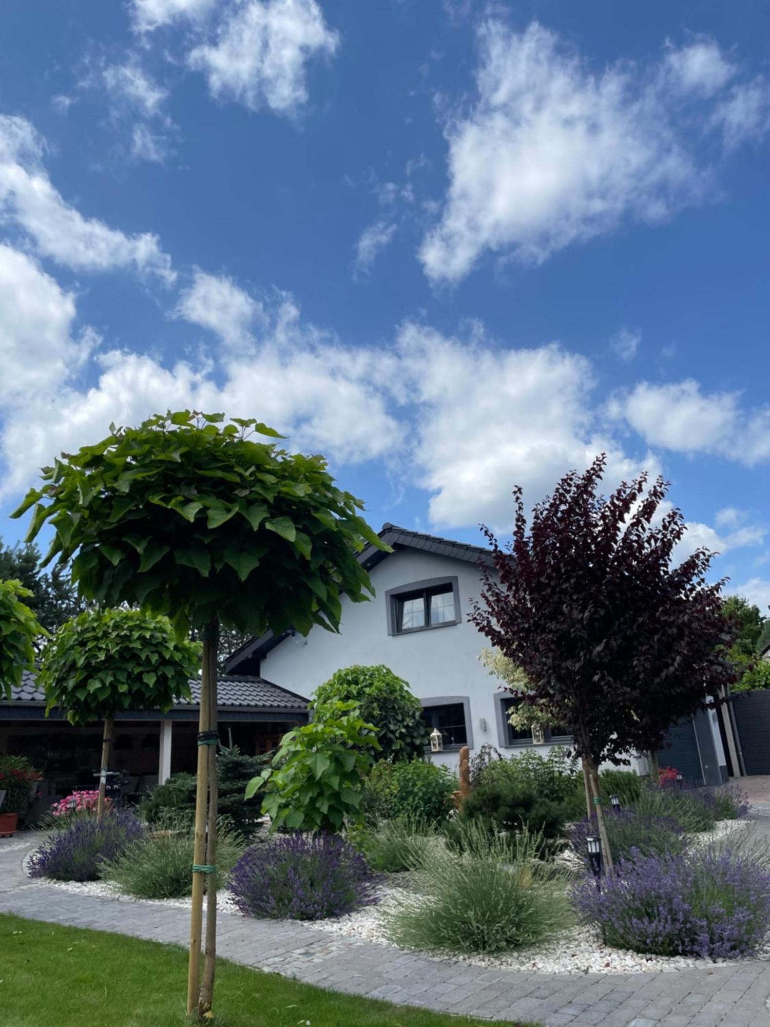 Hortus Apartament Z Klimatyzacja بوليسلافيتش المظهر الخارجي الصورة